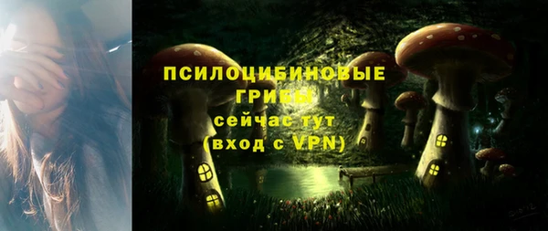 ALPHA-PVP Алексеевка